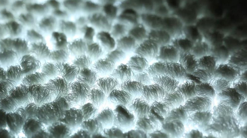 thảm trải sàn Linh Dung